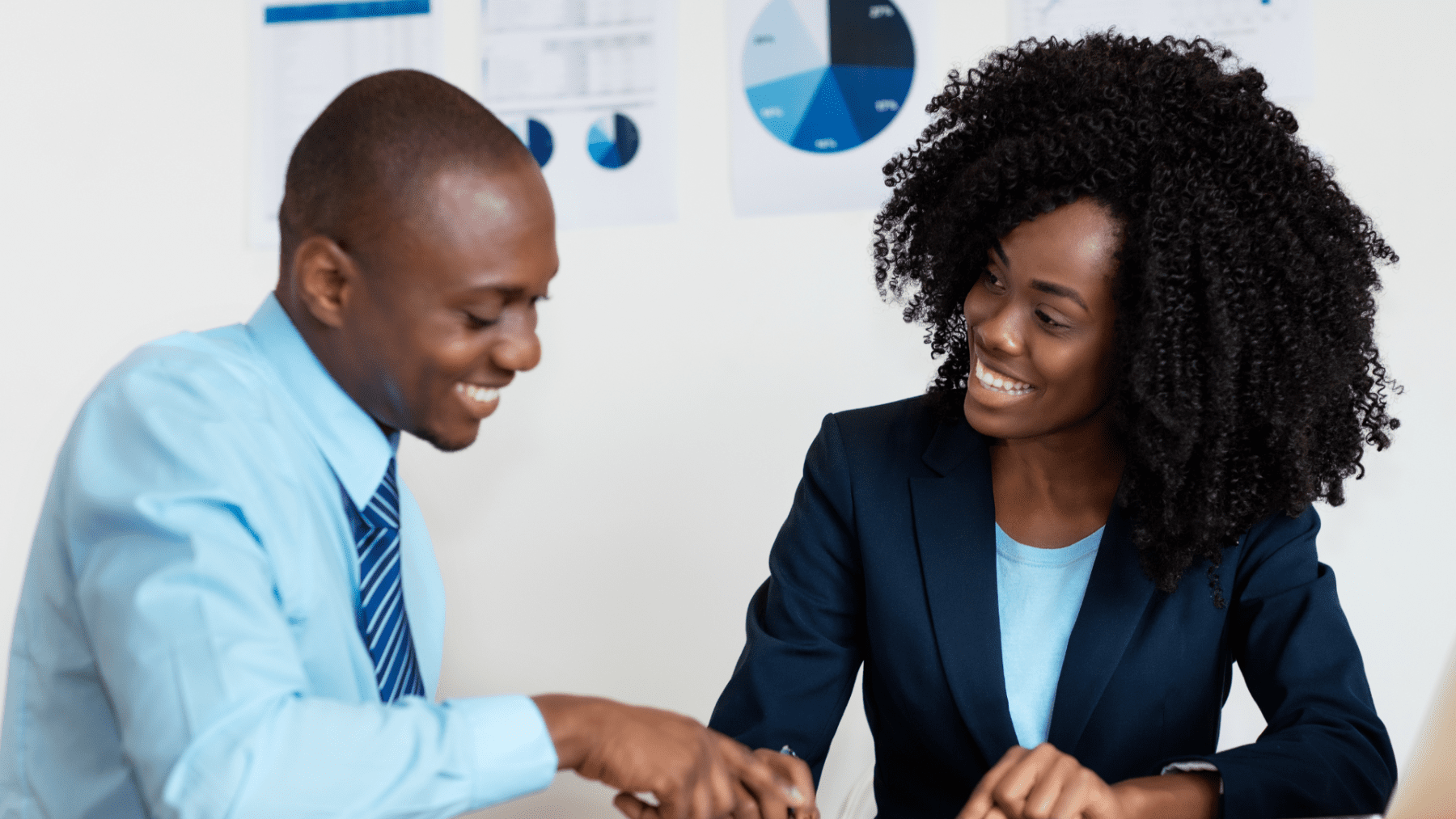 Flock Budget Template